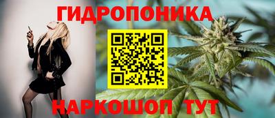 бутират Кингисепп