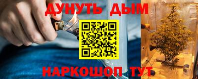Альфа ПВП Кимры