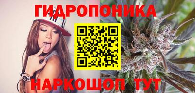 крисы Кинель