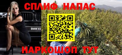 крисы Кинель